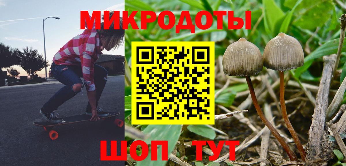 Унеча  Галлюциногенные грибы мицелий  Вход с VPN 