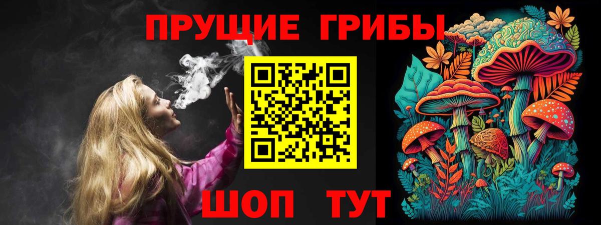 Псилоцибиновые грибы GOLDEN TEACHER Унеча